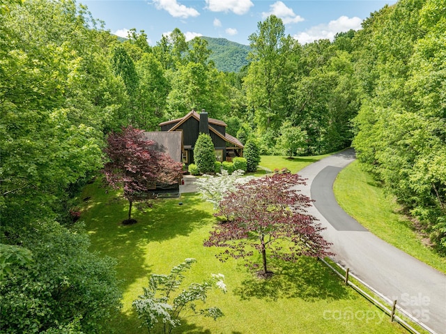 86 Sweet Birch Dr, Maggie Valley, NC 28751 - photo 37