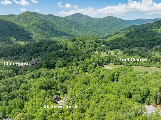 86 Sweet Birch Dr, Maggie Valley, NC 28751 - photo 27