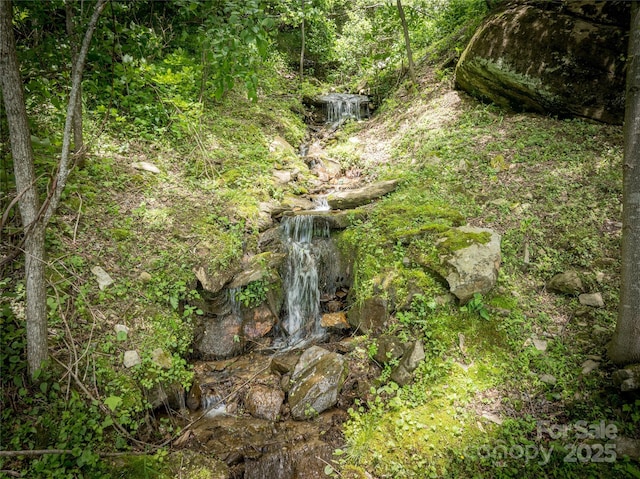 90 Eagles Nest Ln, Maggie Valley, NC 28751 - view of nature