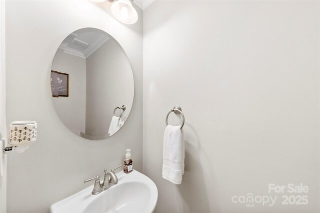 2563 Firethorn Ct, Gastonia, NC 28056 - bathroom with a sink and ornamental molding