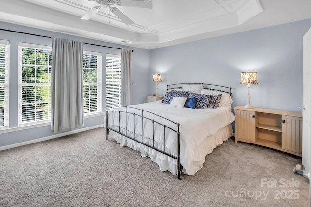 10792 Elsfield Ave NW, Concord, NC 28027 - carpeted bedroom featuring a raised ceiling, baseboards, ceiling fan, and crown molding