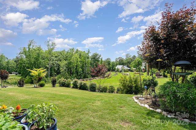 10016 St Kitts Landing Ln, Charlotte, NC 28278 - view of green lawn featuring view of wooded area