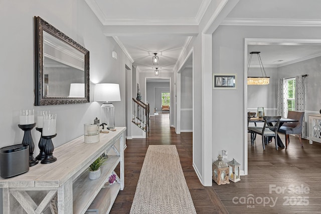 7331 Millstone Cir SW, Concord, NC 28025 - hall featuring plenty of natural light, dark wood-type flooring, stairway, and ornamental molding