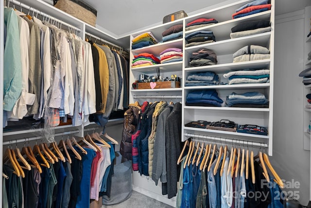 7331 Millstone Cir SW, Concord, NC 28025 - walk in closet with carpet floors