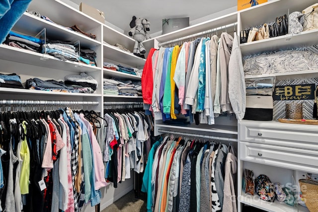 7331 Millstone Cir SW, Concord, NC 28025 - walk in closet with carpet flooring