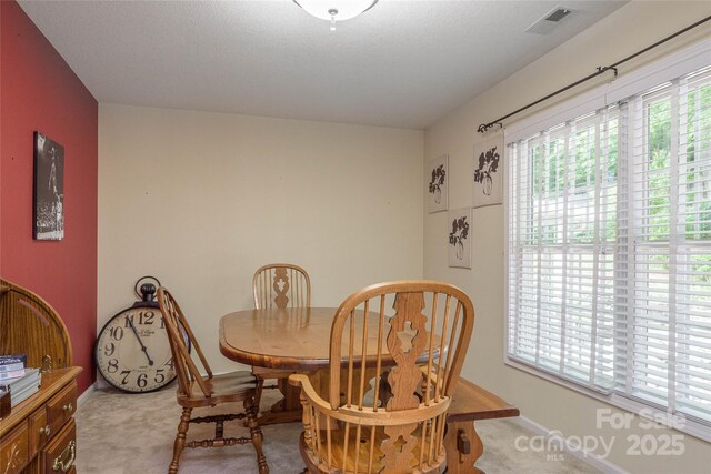 174 Allen Paul Dr, Hendersonville, NC 28791 - photo 14