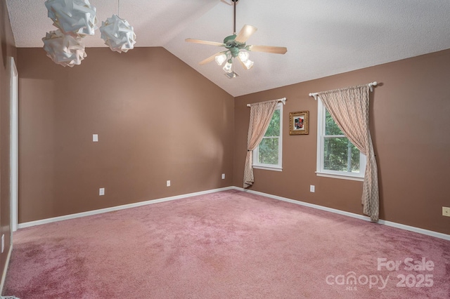3513 Briarcliff Acres Dr, Lincolnton, NC 28092 - photo 18