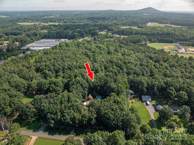 3513 Briarcliff Acres Dr, Lincolnton, NC 28092 - photo 37