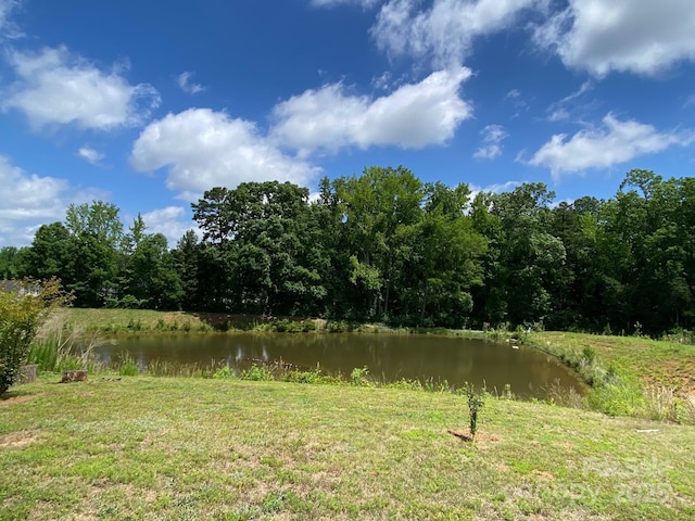 3113 Bouquet St, Charlotte, NC 28215 - view of yard with a water view and a wooded view