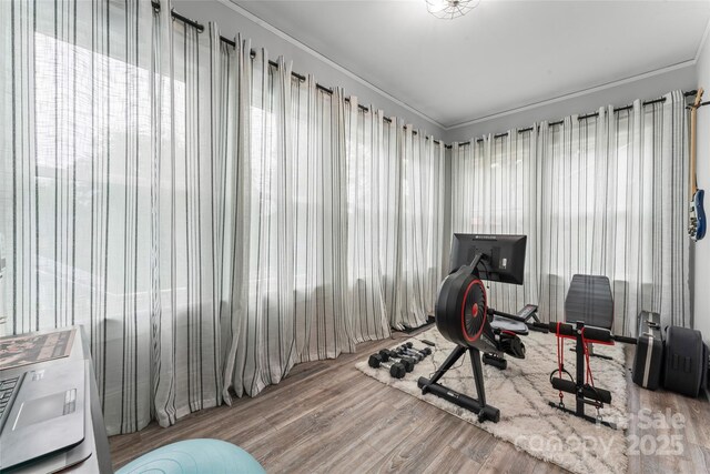 509 N Oak St, Lincolnton, NC 28092 - exercise area with wood finished floors and crown molding