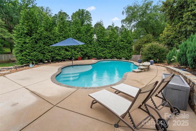 509 N Oak St, Lincolnton, NC 28092 - view of pool with a patio
