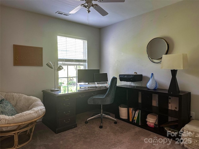 16121 Wrights Ferry Rd, Charlotte, NC 28278 - home office featuring a ceiling fan and carpet