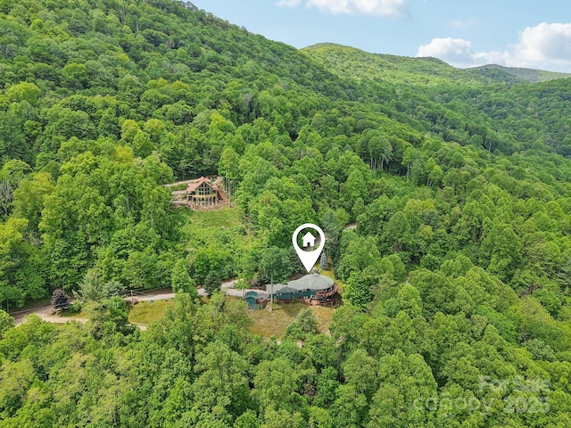 274 Slippery Rock Rd, Waynesville, NC 28785 - bird's eye view of a heavily wooded area