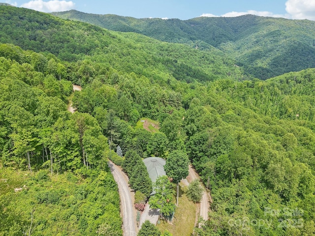 274 Slippery Rock Rd, Waynesville, NC 28785 - mountain view with a heavily wooded area