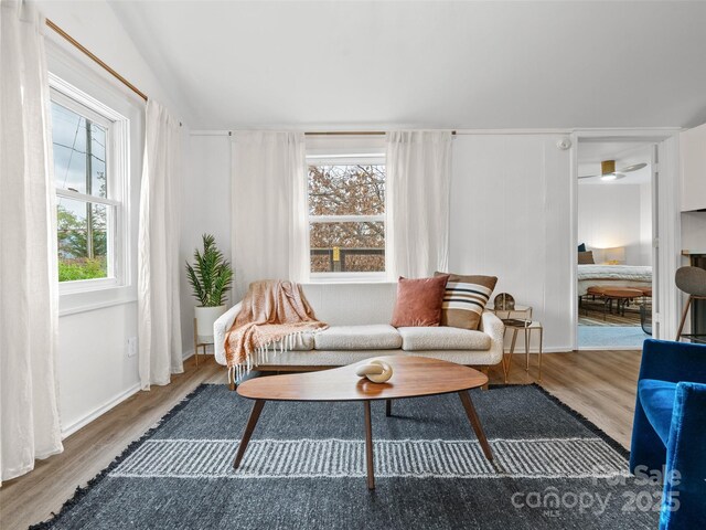 14 View St, Asheville, NC 28804 - photo 4