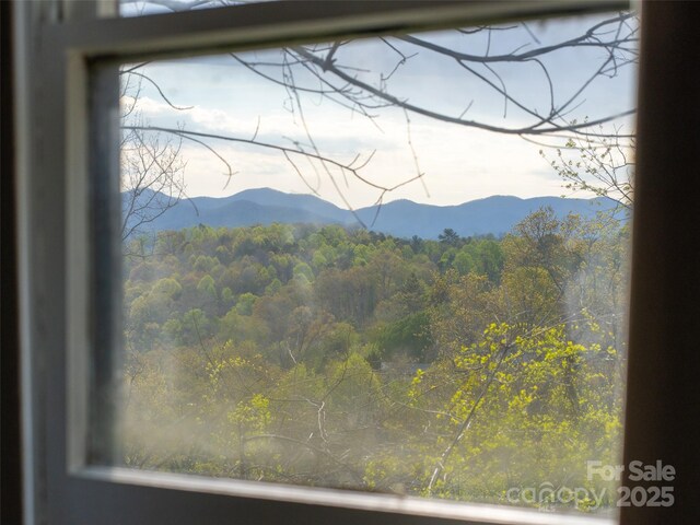 14 View St, Asheville, NC 28804 - photo 17