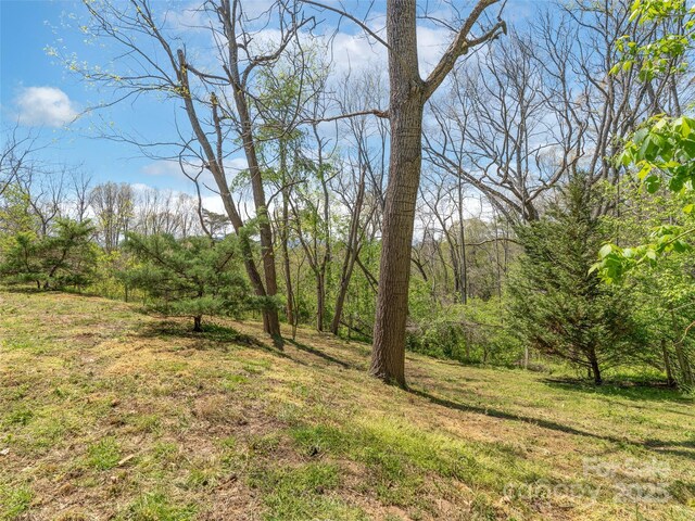 14 View St, Asheville, NC 28804 - photo 26