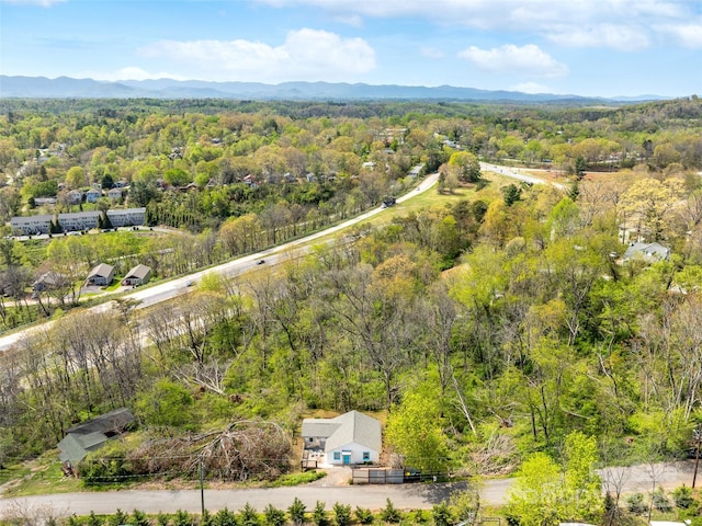 14 View St, Asheville, NC 28804 - photo 30