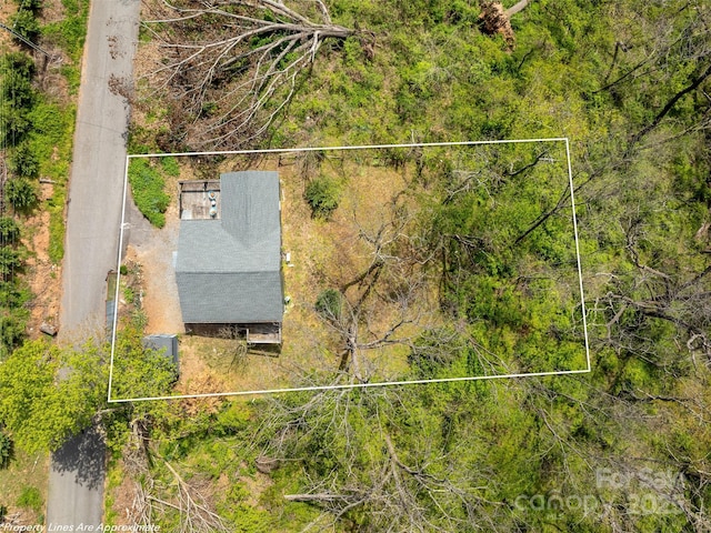 14 View St, Asheville, NC 28804 - photo 33