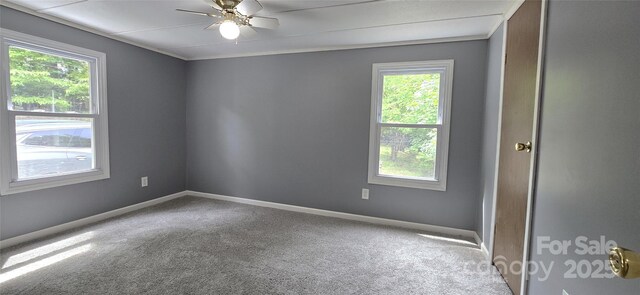 6140 Barclay Ln, Clover, SC 29710 - spare room with carpet, baseboards, and a ceiling fan