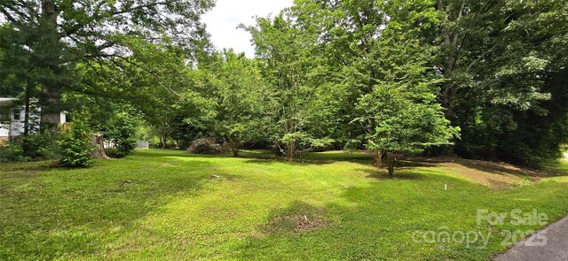 6140 Barclay Ln, Clover, SC 29710 - view of green lawn