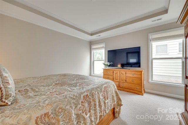 4511 Middlebury Ln, Fort Mill, SC 29715 - bedroom featuring light carpet, crown molding, a raised ceiling, and baseboards