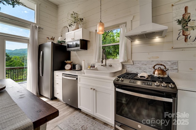 354 Ivy Ridge Cir, Sylva, NC 29779 - kitchen featuring appliances with stainless steel finishes, extractor fan, healthy amount of natural light, a sink, and wood walls