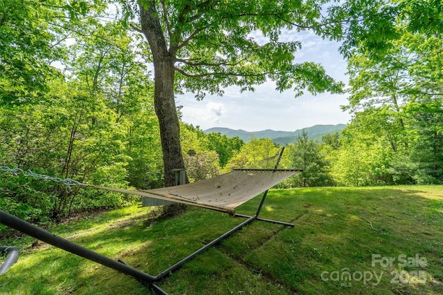 354 Ivy Ridge Cir, Sylva, NC 29779 - view of green lawn featuring a mountain view and a wooded view