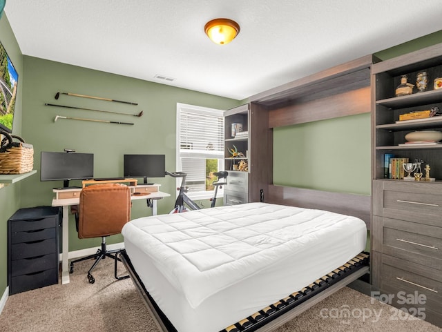 725 Center St, Asheville, NC 28803 - bedroom featuring carpet floors, a desk, and baseboards