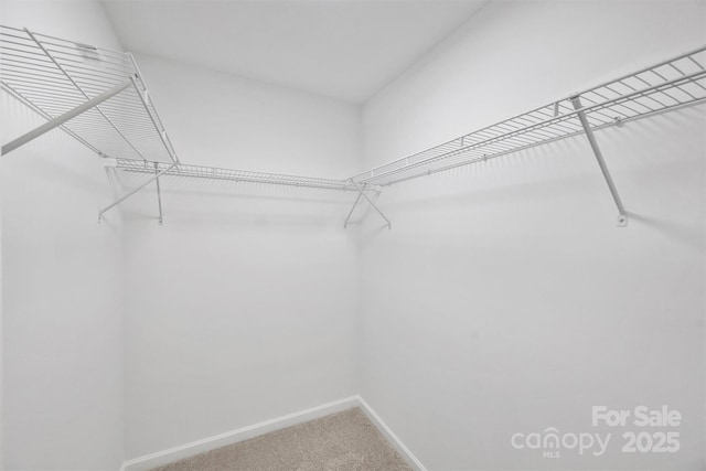 126 Meadow Glen Dr, Troutman, NC 28166 - walk in closet featuring carpet floors