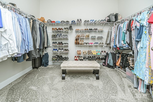 424 Cassia Ct, Fort Mill, SC 29708 - view of spacious closet