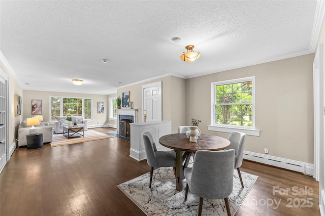 121 33rd Ave NE, Hickory, NC 28601 - dining area featuring a baseboard radiator, a fireplace, ornamental molding, a textured ceiling, and wood finished floors