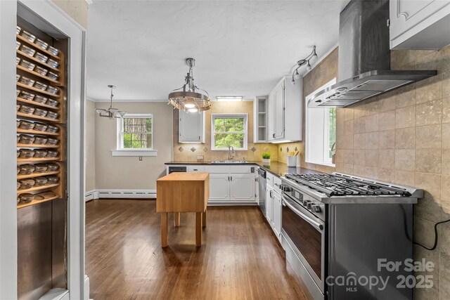 121 33rd Ave NE, Hickory, NC 28601 - kitchen with extractor fan, appliances with stainless steel finishes, a sink, a baseboard radiator, and dark wood finished floors