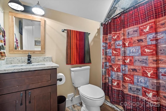 867 Bellegray Rd, Clover, SC 29710 - full bath with vanity, curtained shower, lofted ceiling, and wood finished floors