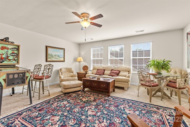 163 Carmen Way, Lancaster, SC 29720 - photo 23