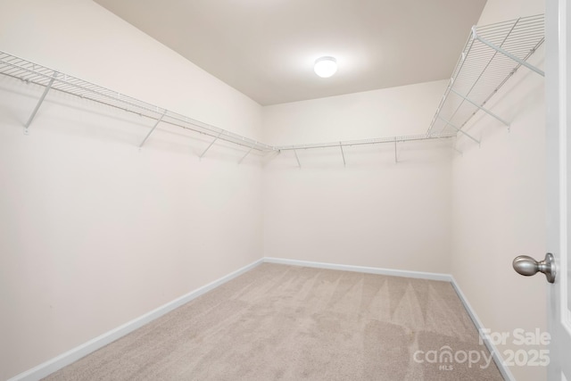 14611 Murfield Ct, Charlotte, NC 28278 - walk in closet with light carpet