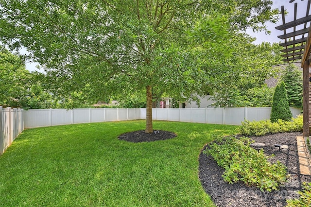 2844 Georgia Ave, Charlotte, NC 28205 - view of yard
