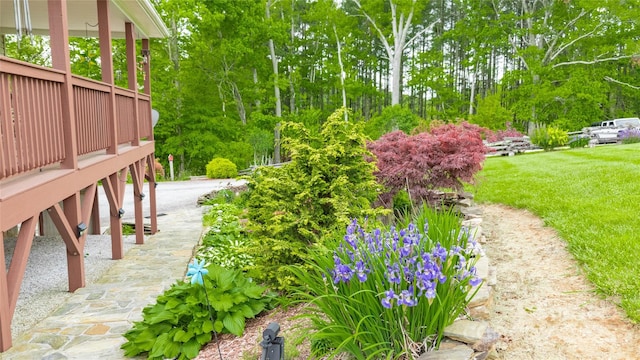 3690 Penland Rd, Spruce Pine, NC 28777 - view of yard