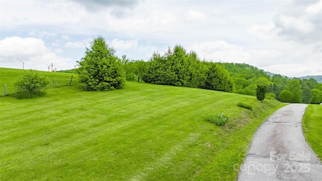 3690 Penland Rd, Spruce Pine, NC 28777 - view of road