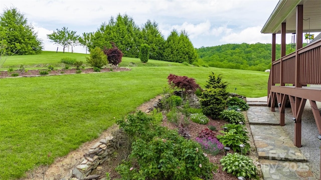 3690 Penland Rd, Spruce Pine, NC 28777 - view of grassy yard