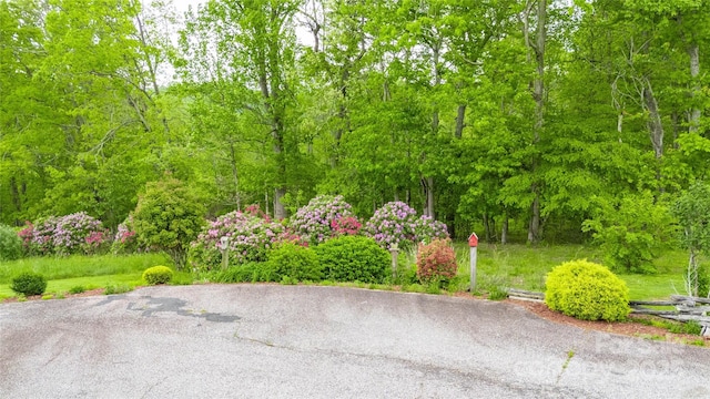 3690 Penland Rd, Spruce Pine, NC 28777 - exterior space