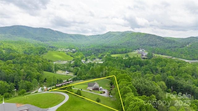 3690 Penland Rd, Spruce Pine, NC 28777 - aerial view of property and surrounding area with property parcel outlined, a mountain backdrop, and a forest