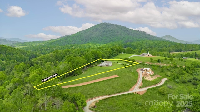3690 Penland Rd, Spruce Pine, NC 28777 - view of mountain backdrop with a heavily wooded area