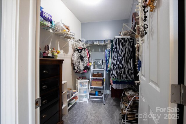 3690 Penland Rd, Spruce Pine, NC 28777 - spacious closet with carpet floors