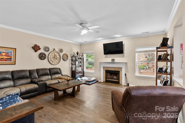 6010 Hawk View Rd, Waxhaw, NC 28173 - living room featuring a ceiling fan, wood finished floors, ornamental molding, and a fireplace