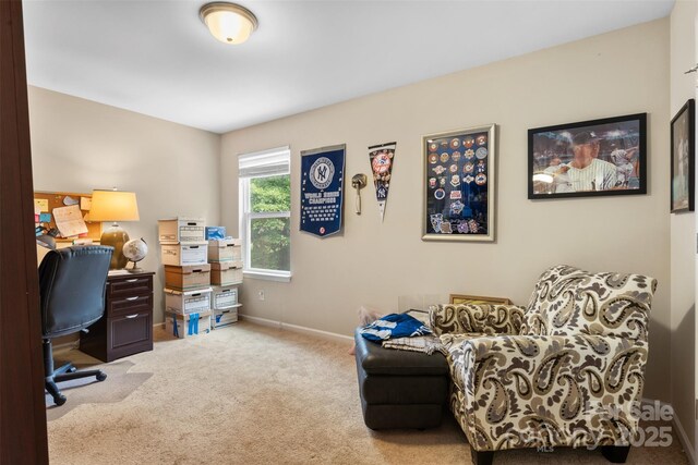 6010 Hawk View Rd, Waxhaw, NC 28173 - office with carpet floors and baseboards