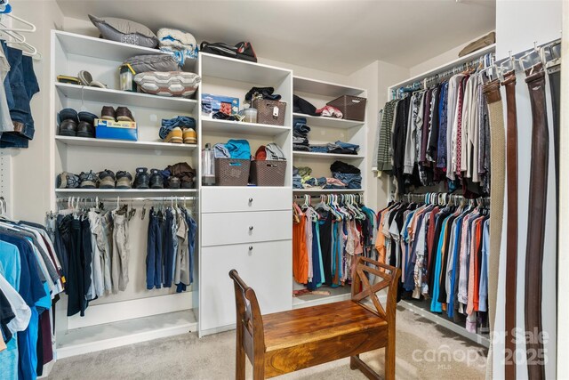 6010 Hawk View Rd, Waxhaw, NC 28173 - walk in closet with carpet floors