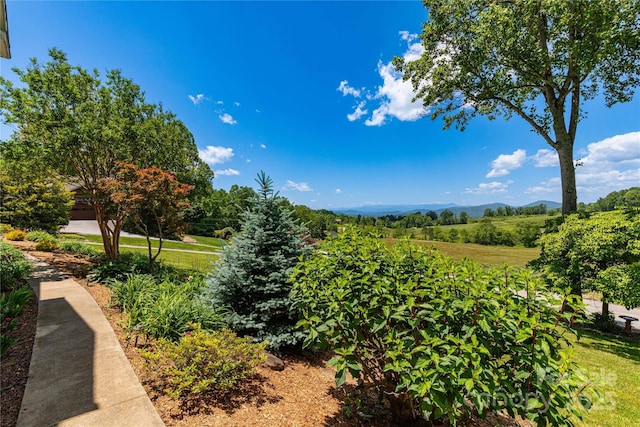 50 Appleola Rd, Hendersonville, NC 28792 - photo 35
