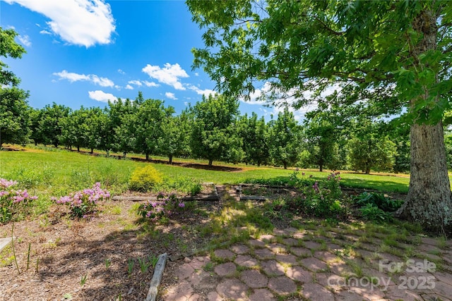 50 Appleola Rd, Hendersonville, NC 28792 - photo 36