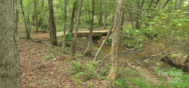 LOT27 S Cross Creek Trl Unit 27, Mill Spring, NC 28756